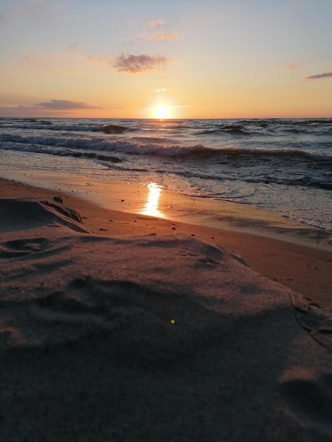 Zalotna Mewa Gaski Bagian luar foto