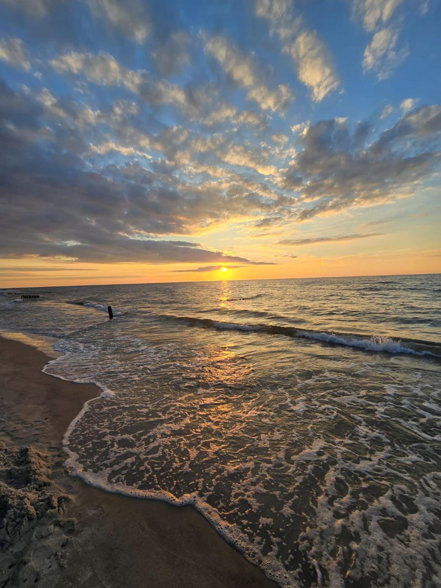 Zalotna Mewa Gaski Bagian luar foto
