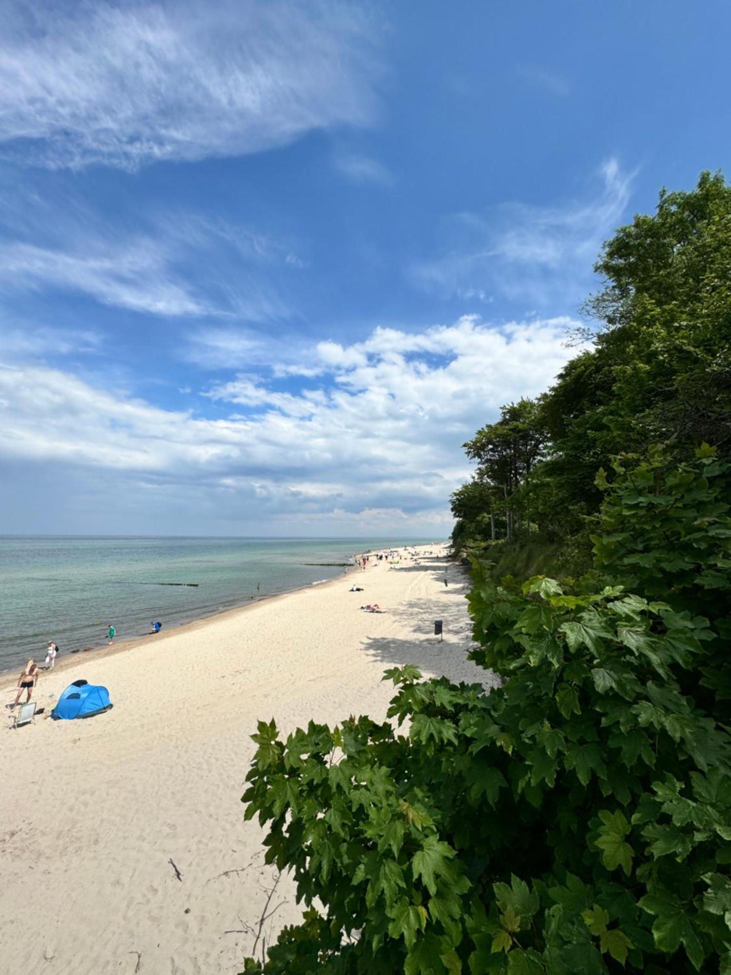 Zalotna Mewa Gaski Bagian luar foto
